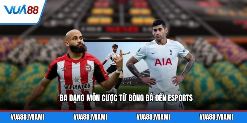 Đa dạng môn cược từ bóng đá đến esports