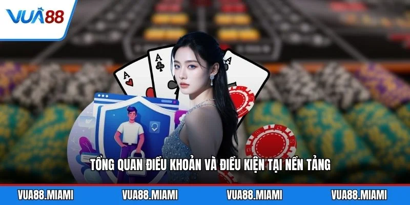 Tổng quan điều khoản và điều kiện tại nền tảng