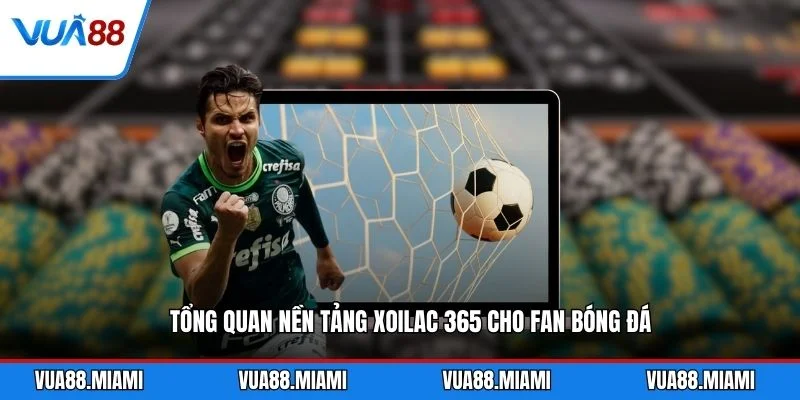 Tổng quan nền tảng Xoilac 365 cho fan bóng đá